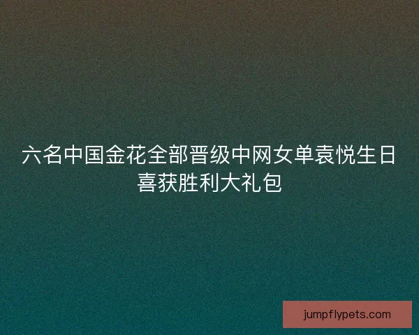 六名中国金花全部晋级中网女单袁悦生日喜获胜利大礼包